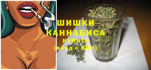 ГАЛЛЮЦИНОГЕННЫЕ ГРИБЫ Карталы
