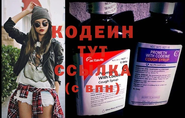 ГАЛЛЮЦИНОГЕННЫЕ ГРИБЫ Карталы