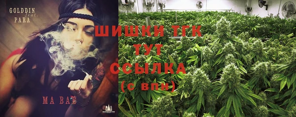 ГАЛЛЮЦИНОГЕННЫЕ ГРИБЫ Карталы