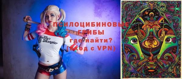 ГАЛЛЮЦИНОГЕННЫЕ ГРИБЫ Карталы