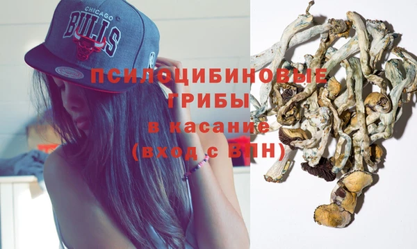 ГАЛЛЮЦИНОГЕННЫЕ ГРИБЫ Карталы