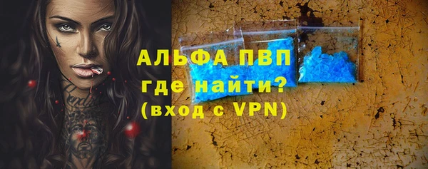 ГАЛЛЮЦИНОГЕННЫЕ ГРИБЫ Карталы