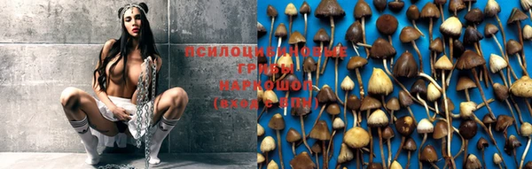 mix Касимов